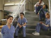 Grey Anatomy