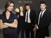 Bones